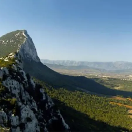 Du Pic Saint Loup Valflaunes